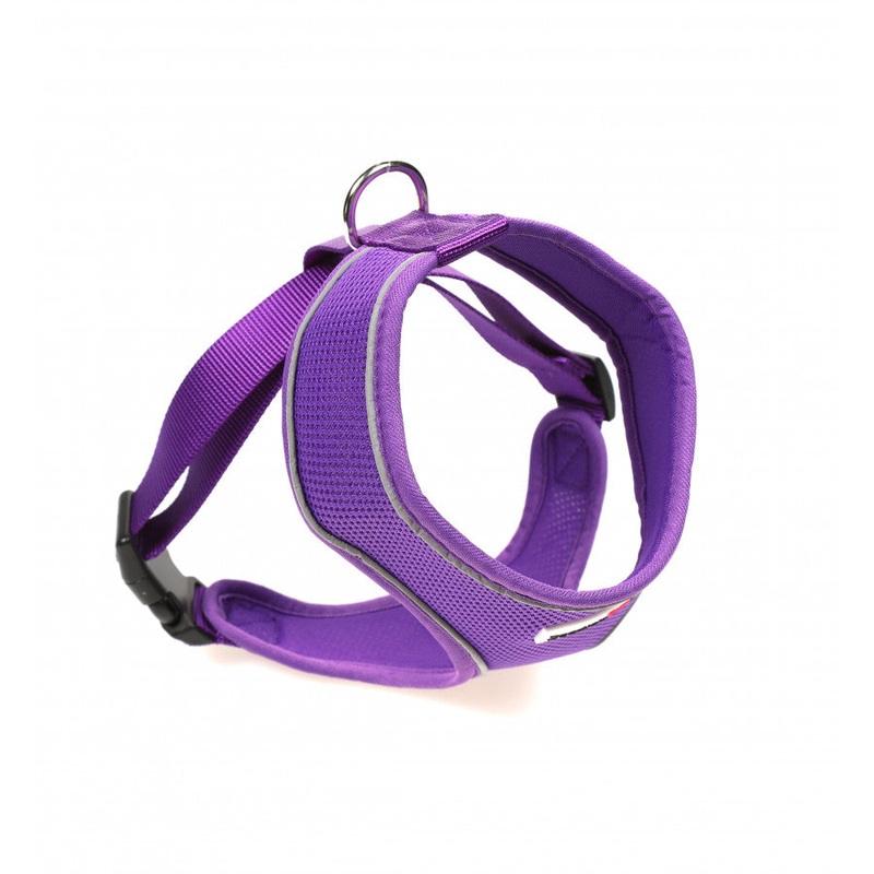 Doodlebone - Originals Airmesh Harness - Violet - Size 4