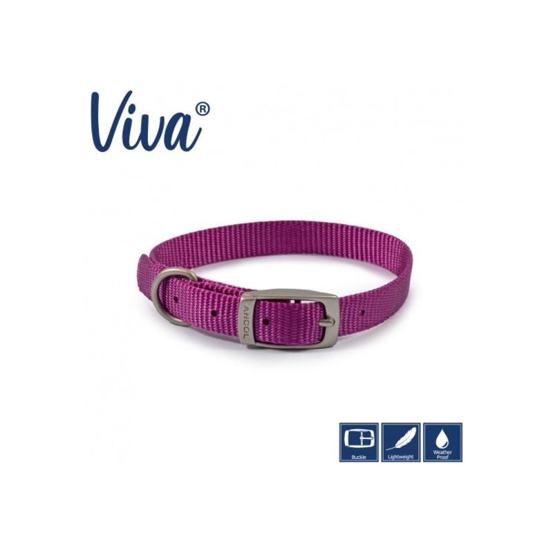 Ancol - Viva Nylon Buckle Collar - Purple - Size 3 (28-36cm)