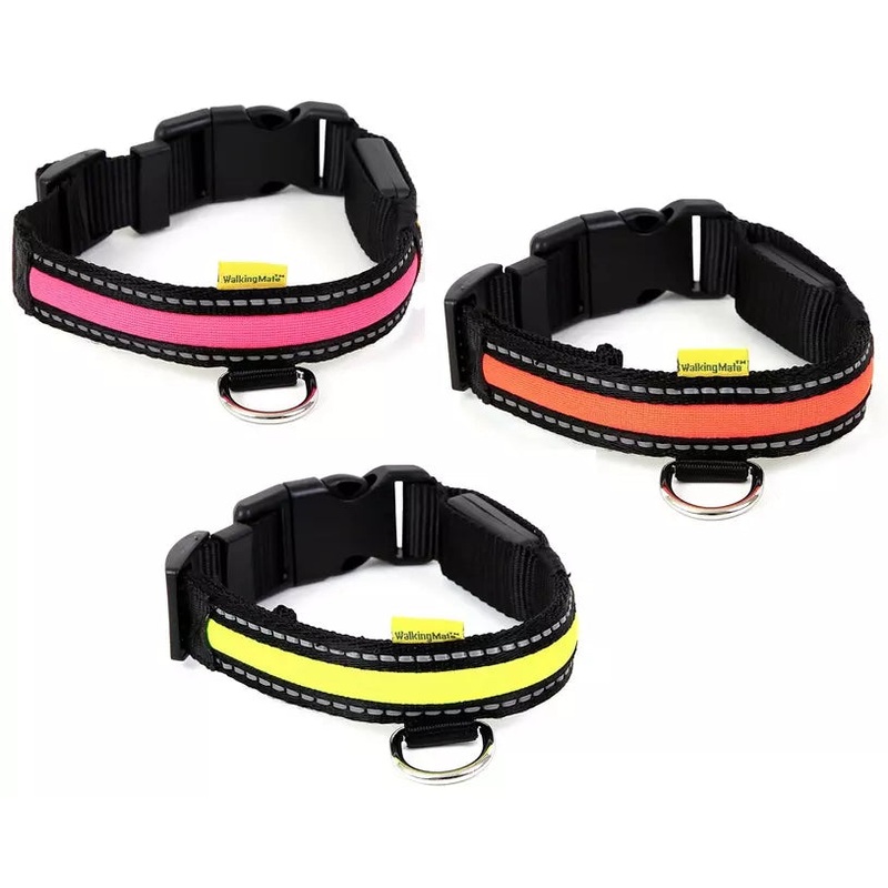 Animal Instincts - Flashing Safety Collar - Assorted Colour - Small (35-40cm)