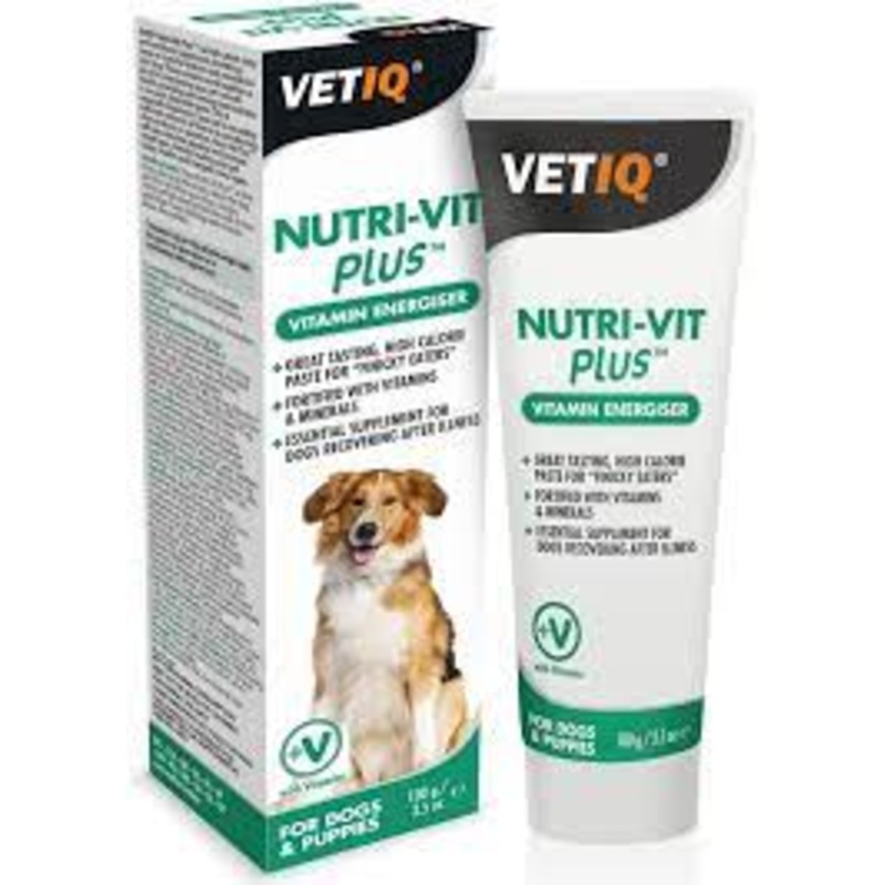 VetIQ - Nutri-Vit Plus Vitamin Energiser Paste for Dogs - 100g