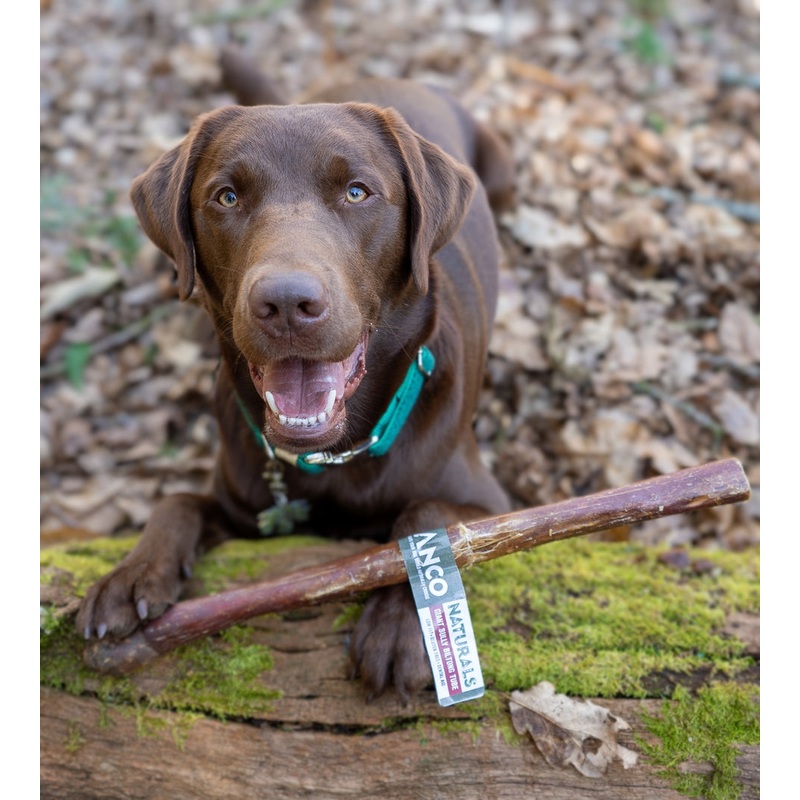 Anco - Giant Bully Biltong Tube