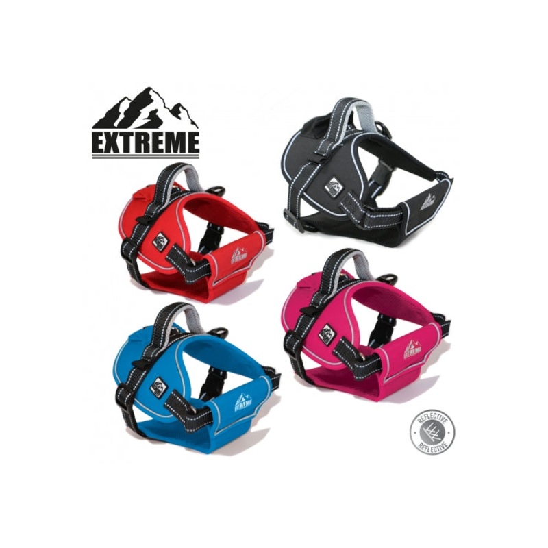 Ancol - Extreme Harness - Blue - X Large
