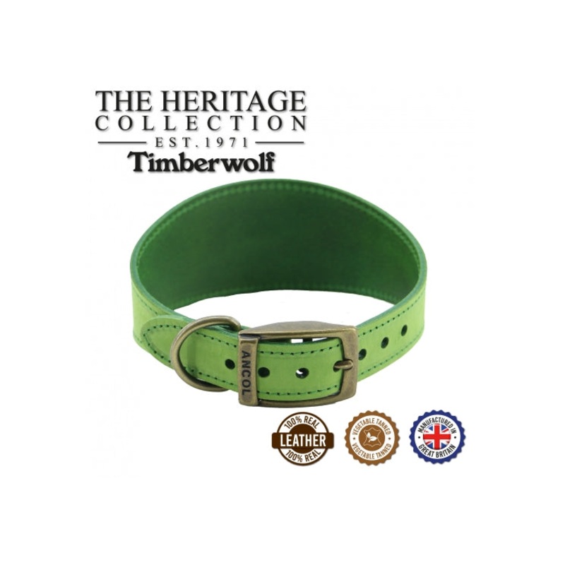 Ancol - Timberwolf Leather Hound Collar - Green - Greyhound (34-43cm)