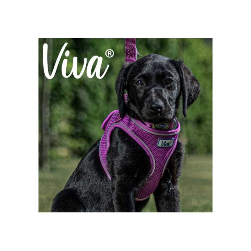 Ancol - Viva Step-in Harness - Purple - Large
