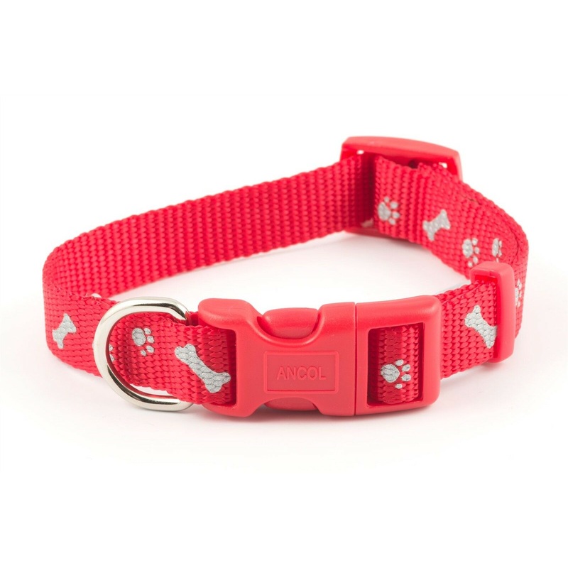 Ancol - Adjustable Patterned Collar - Red Paw & Bone - Small (20-30cm)