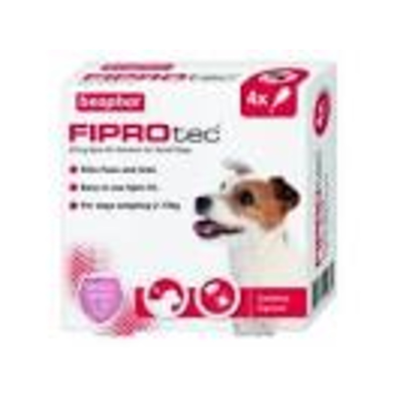 Beaphar - Fiprotec Spot-On Small Dog - 4 Pipette