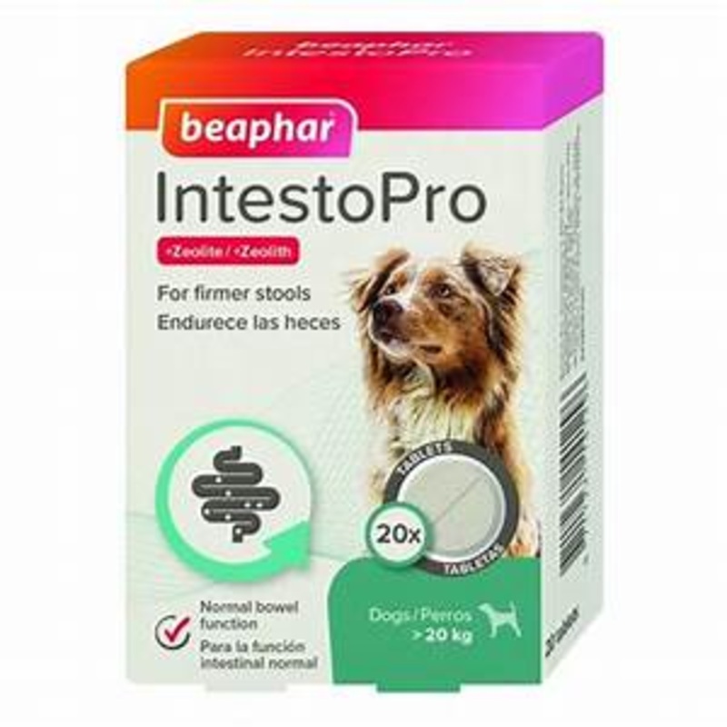 Beaphar - IntestoPro Tabs for M/L Dogs - 20 tabs