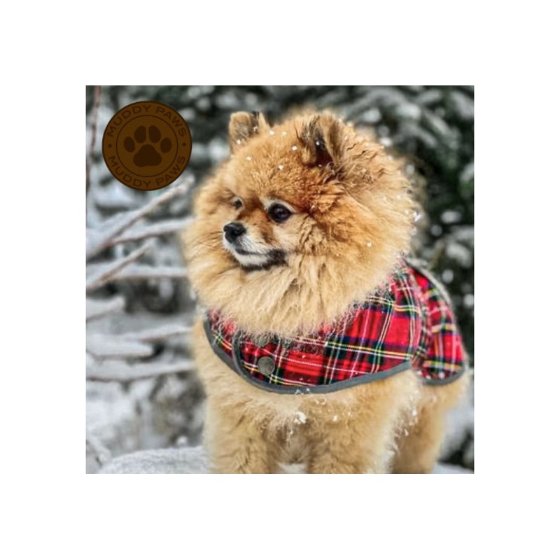 Ancol - Highland Tartan Red - Small