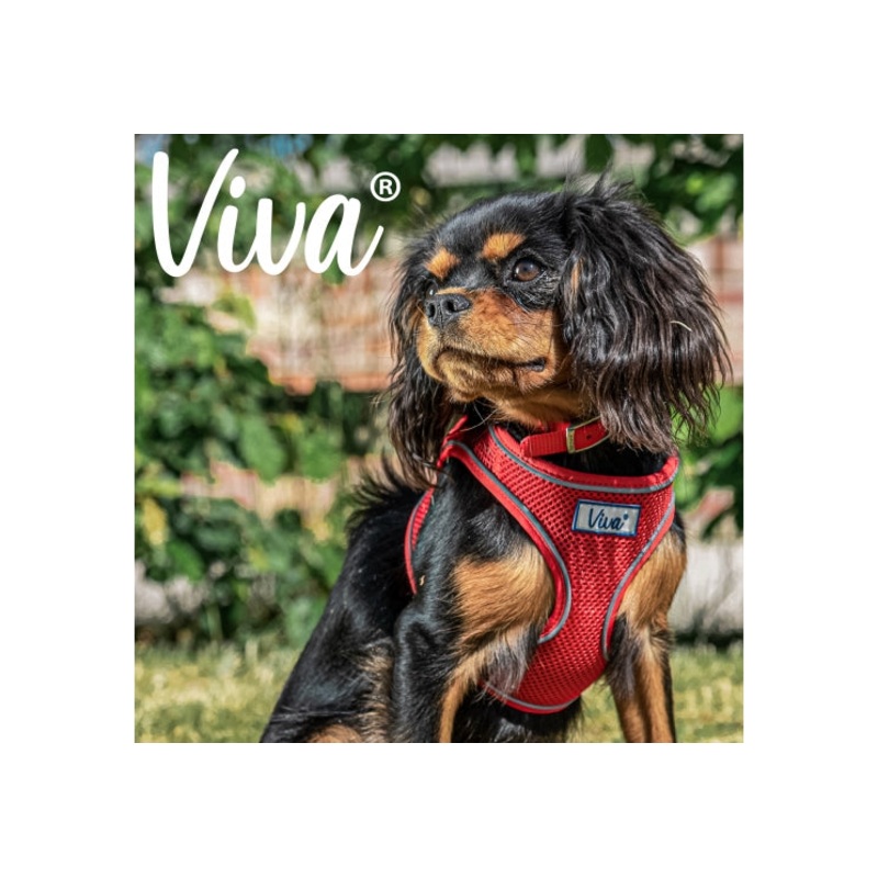 Ancol - Viva Step-in Harness - Red - X Small