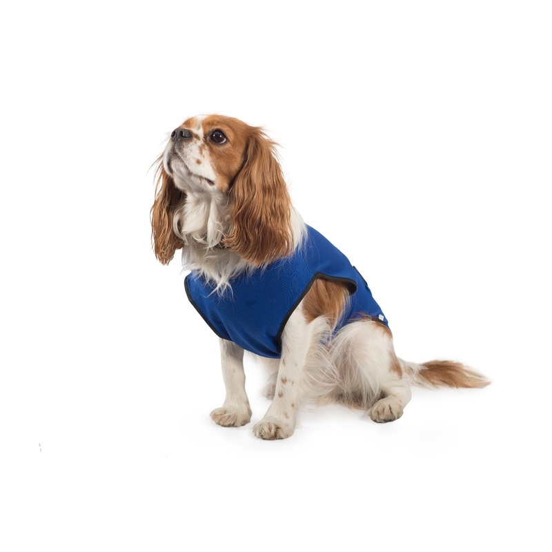 Ancol - Dog Cooling Coat - Small (30cm)
