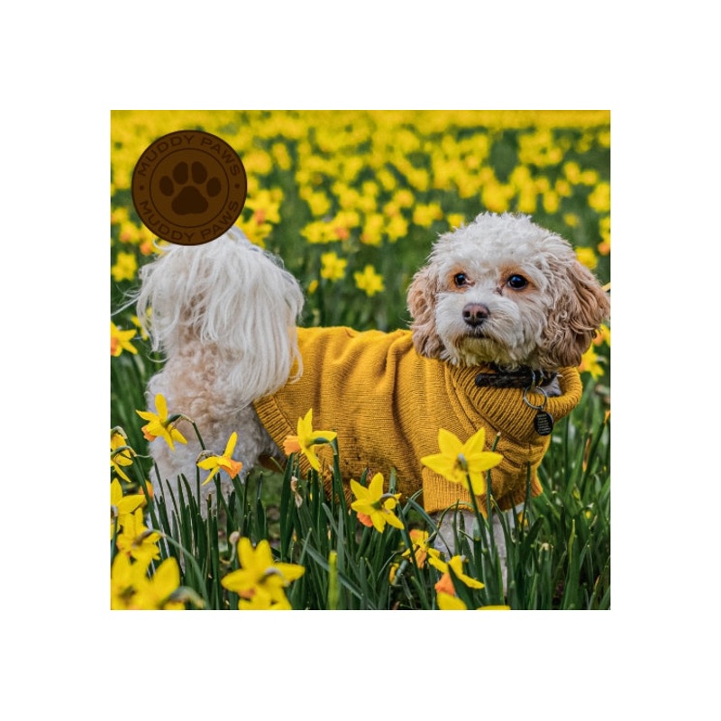 Ancol - Cable Knit Jumper - Mustard - Medium