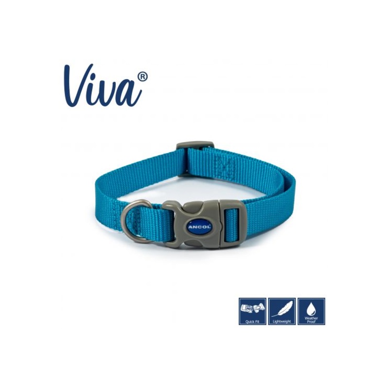 Ancol - Viva Nylon Adjustable Collar - Blue - Large (45-70cm)
