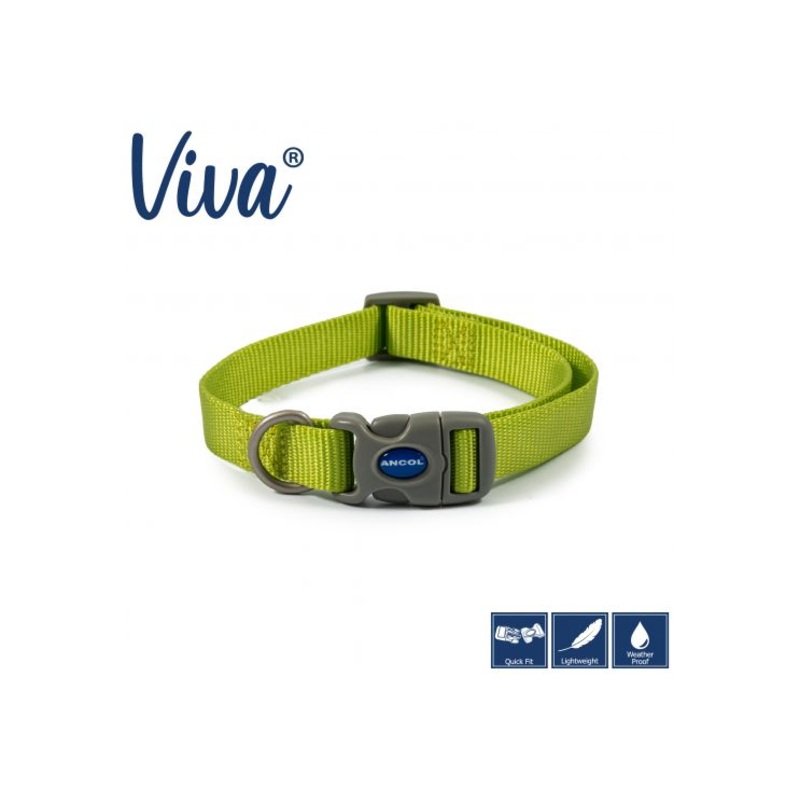 Ancol - Viva Nylon Adjustable Collar - Lime - Large (45-70cm)