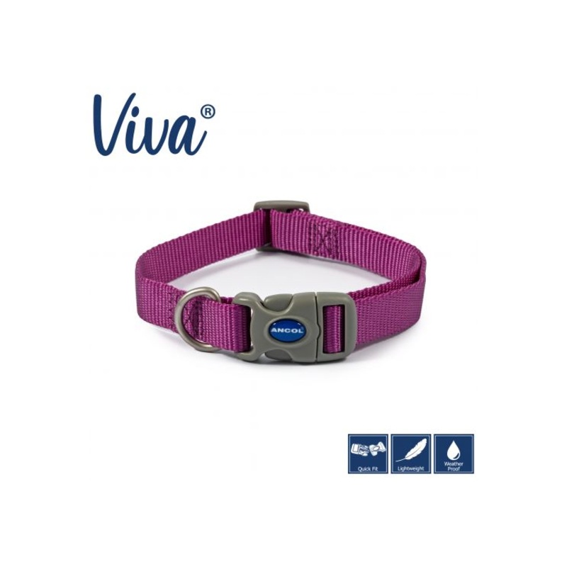 Ancol - Viva Nylon Adjustable Collar - Purple - Large (45-70cm)