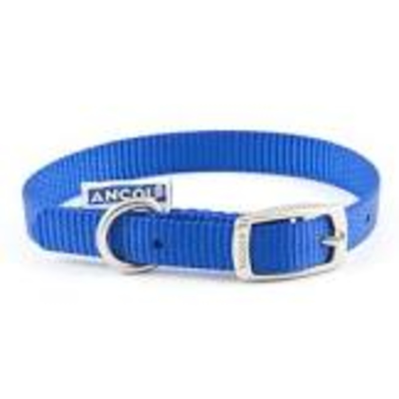 Ancol - Viva Nylon Buckle Collar - Blue - Size 2 (26-31cm)