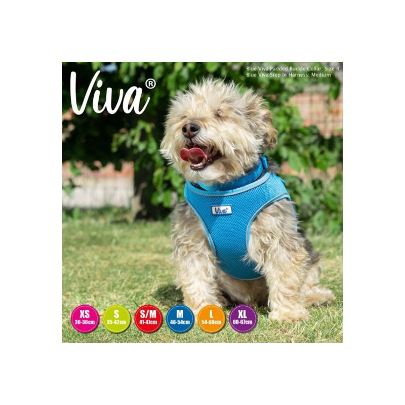 Ancol - Viva Step-in Harness - Blue - Large