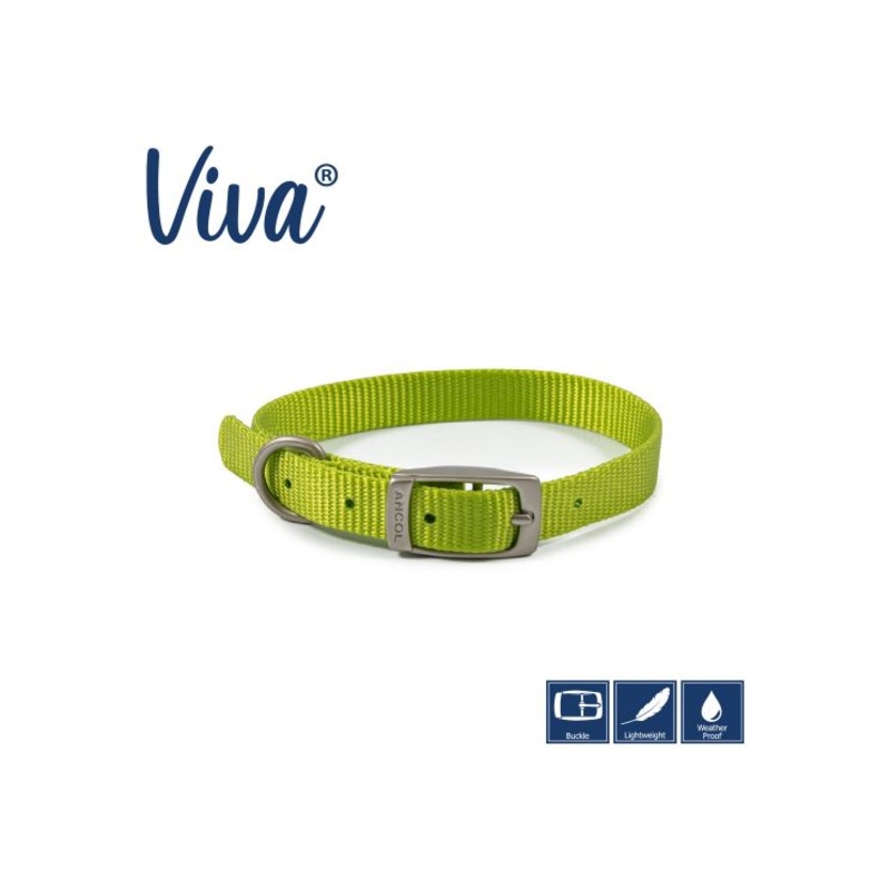 Ancol - Viva Nylon Buckle Collar - Lime - Size 3 (28-36cm)