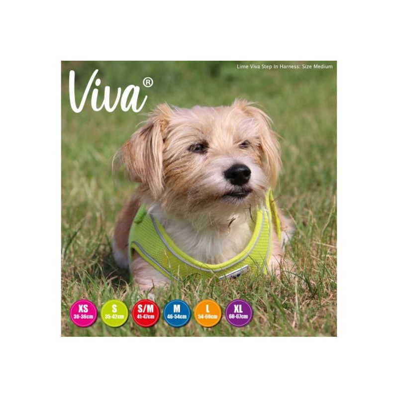 Ancol - Viva Step-in Harness - Lime - Large