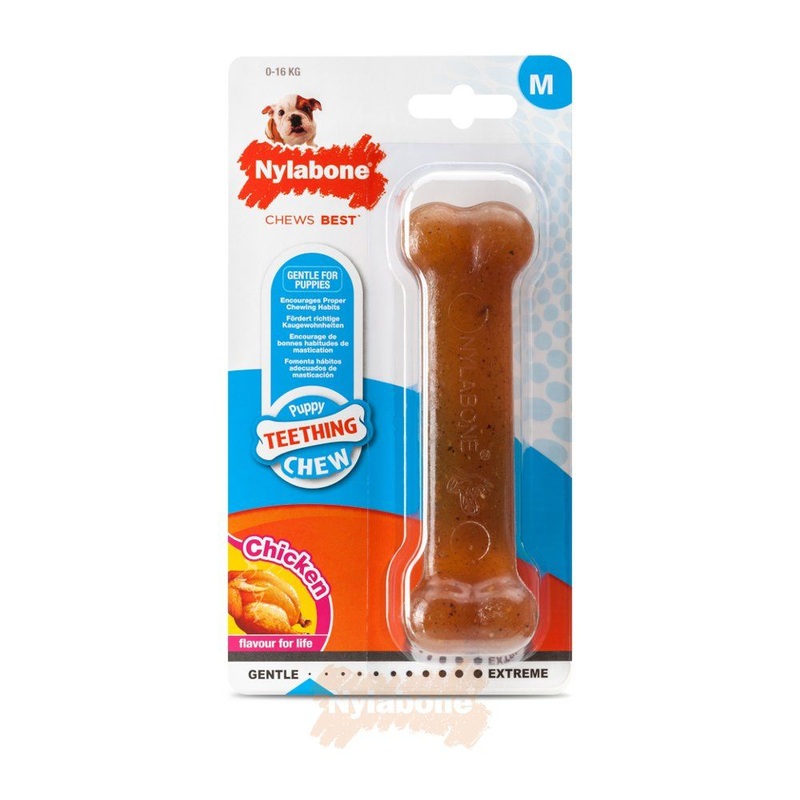 Nylabone - Puppy Bone - Chicken - Medium