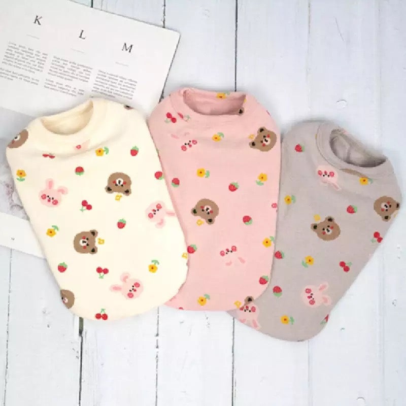 Bear teddy top