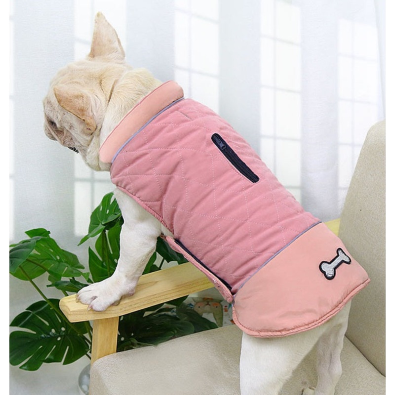 Bone dog jacket