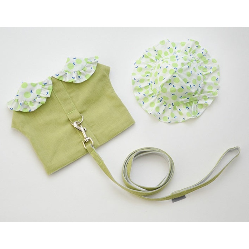 Fruit dog harness set