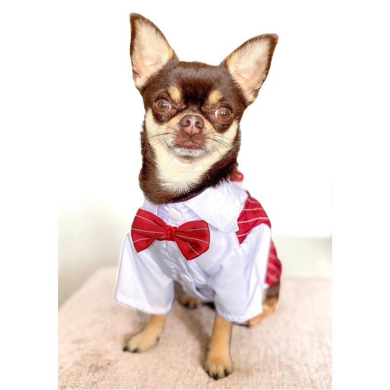 NEW Dog Tuxedo