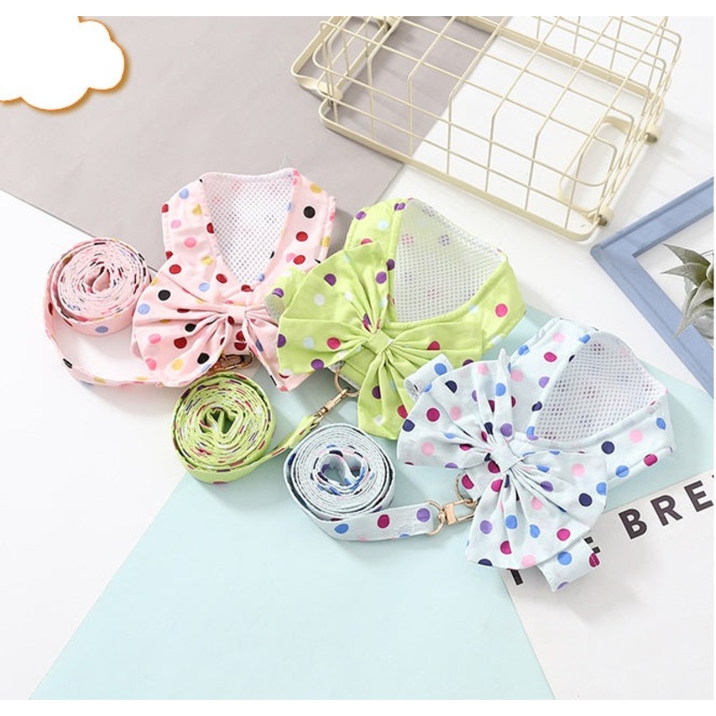Rainbow dot harness set