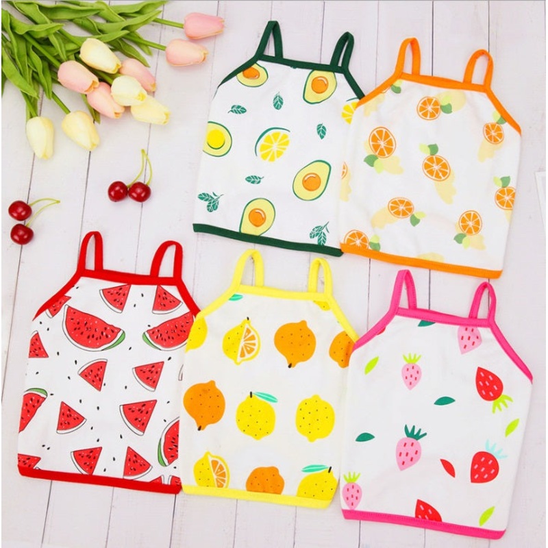 Summer Fruit dog t-shirt