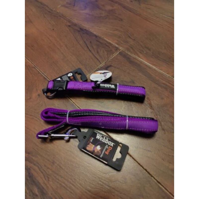 Webbox - Nylon Dog Collar - Purple - Medium