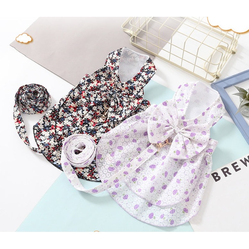 Wonderland dog dress set