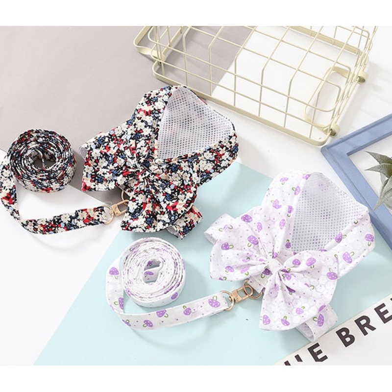 Wonderland dog harness set