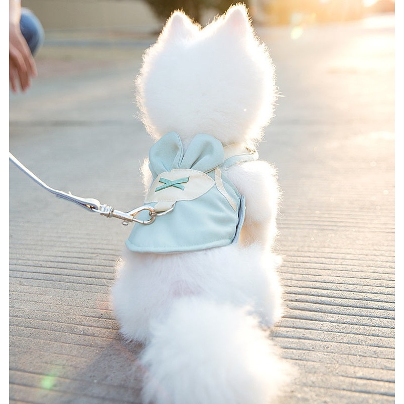Amber Mint dog harness