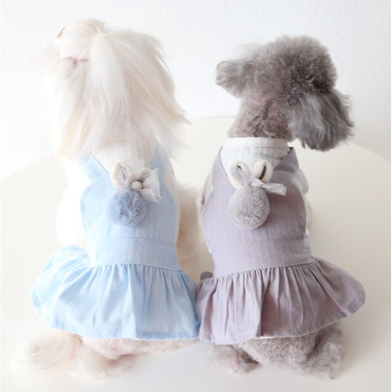 Bunny dog dress