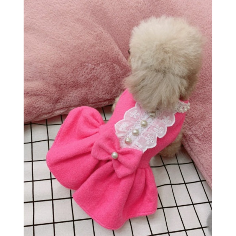 Celebration dog dress