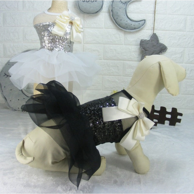 Celebration pet dress