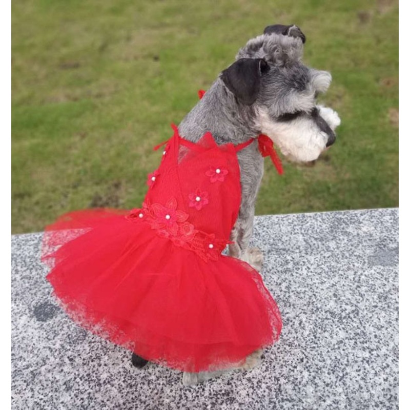 Florina pet dress