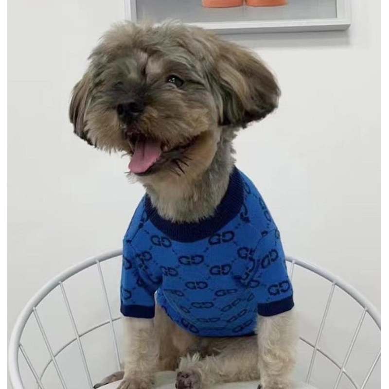 GG Dog jumper