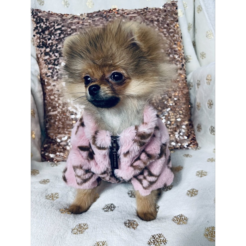 NEW Designer coat