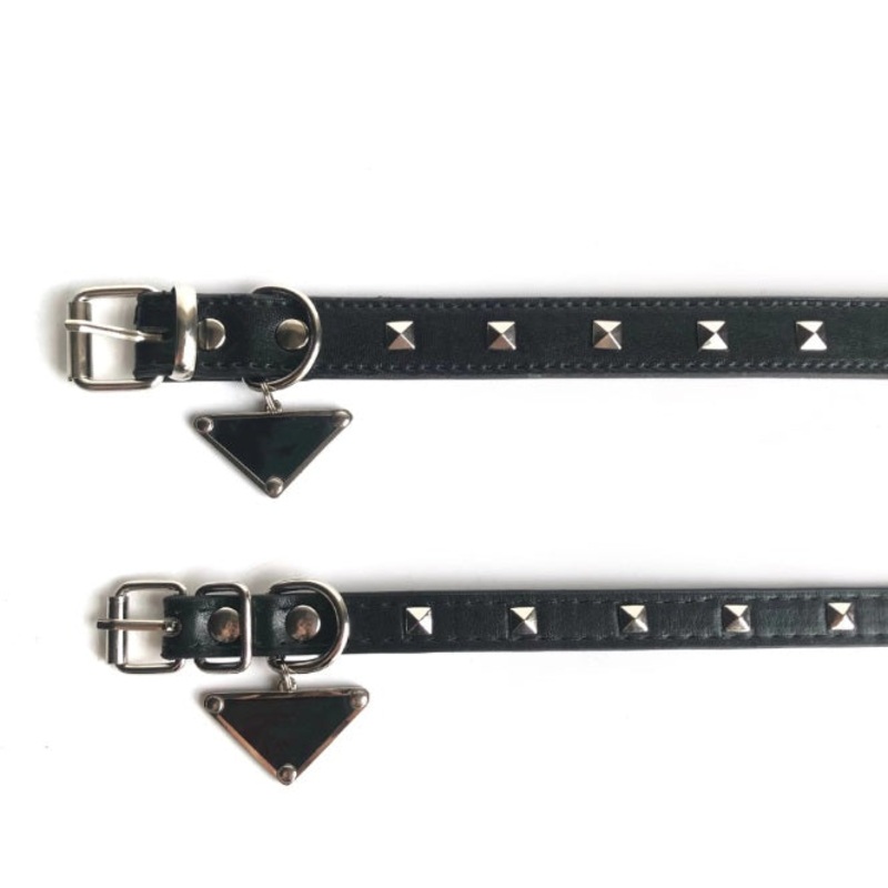 NEW Designer inspired dog collar