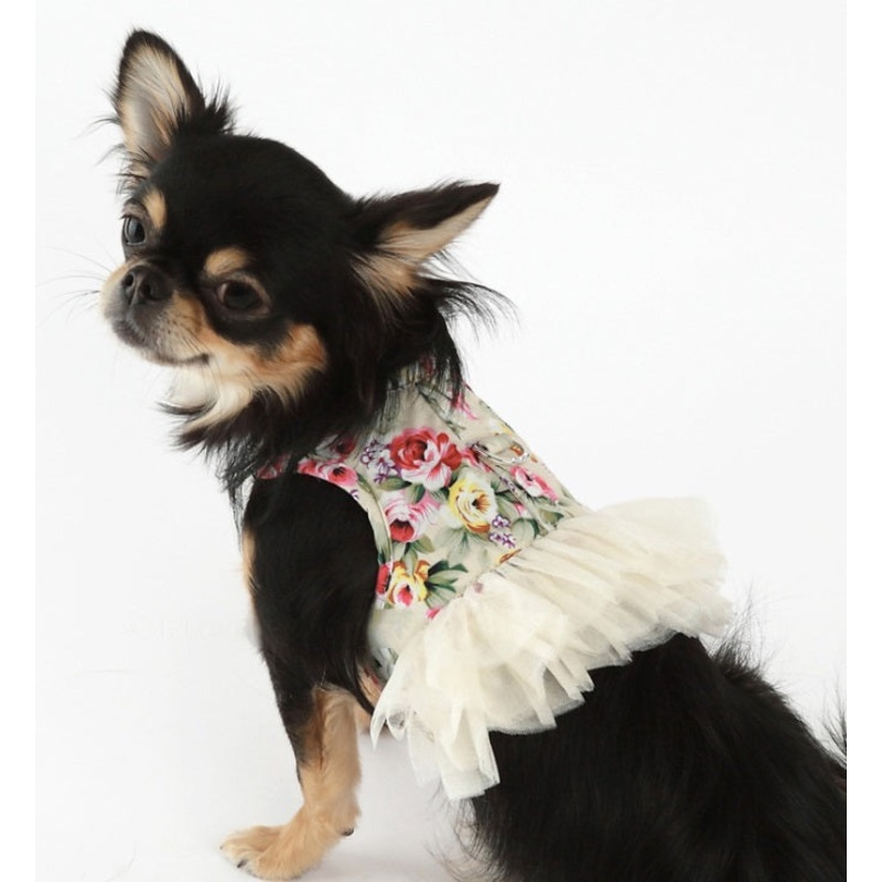 NEW Florena dog harness