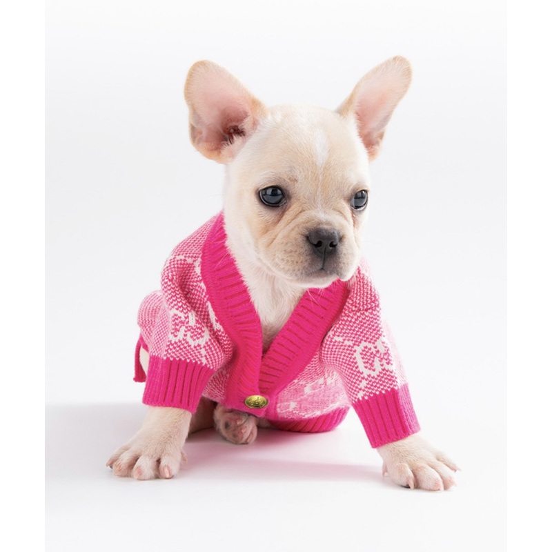 NEW GG dog jumper