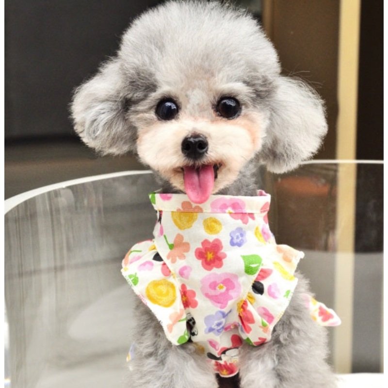 NEW Minnie dog dress