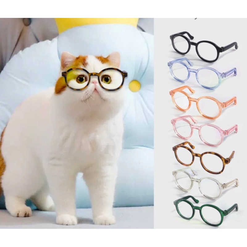 NEW Pet Glasses