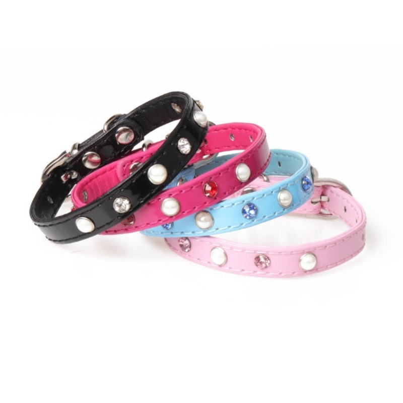 NEW Puppy dog collar
