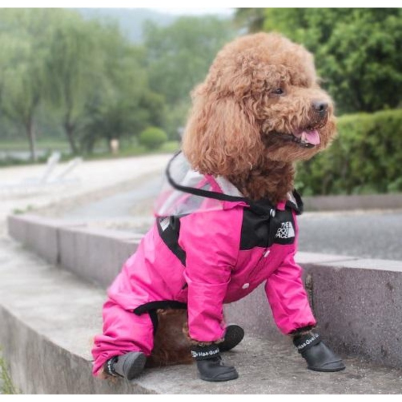 NEW Designer dog rain all in one