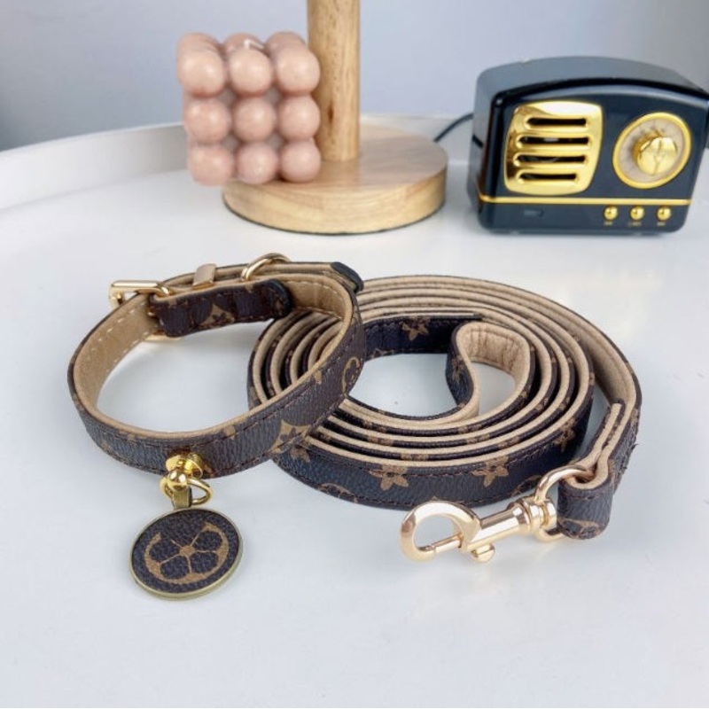 NEW Designer inspired Orig. collar and lead set