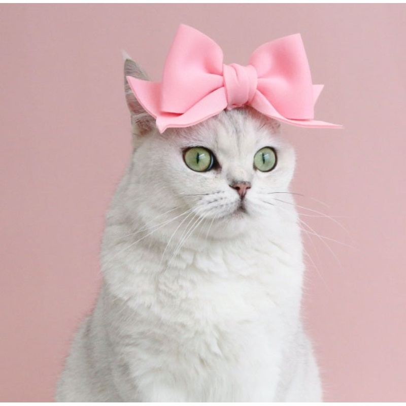 NEW Pet Headband