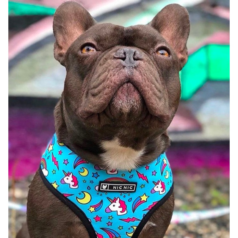 NEW Unicorn dog harness set