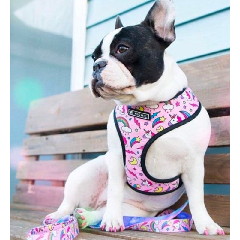 NEW Unicorn dog harness set pink